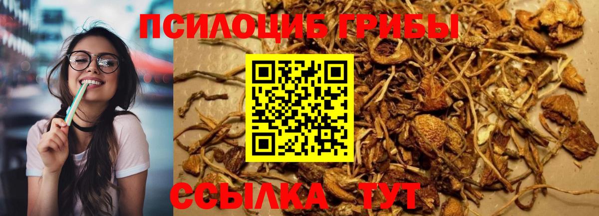 Армавир  Псилоцибиновые грибы Cubensis  Псилоцибиновые грибы GOLDEN TEACHER  Вход с VPN 
